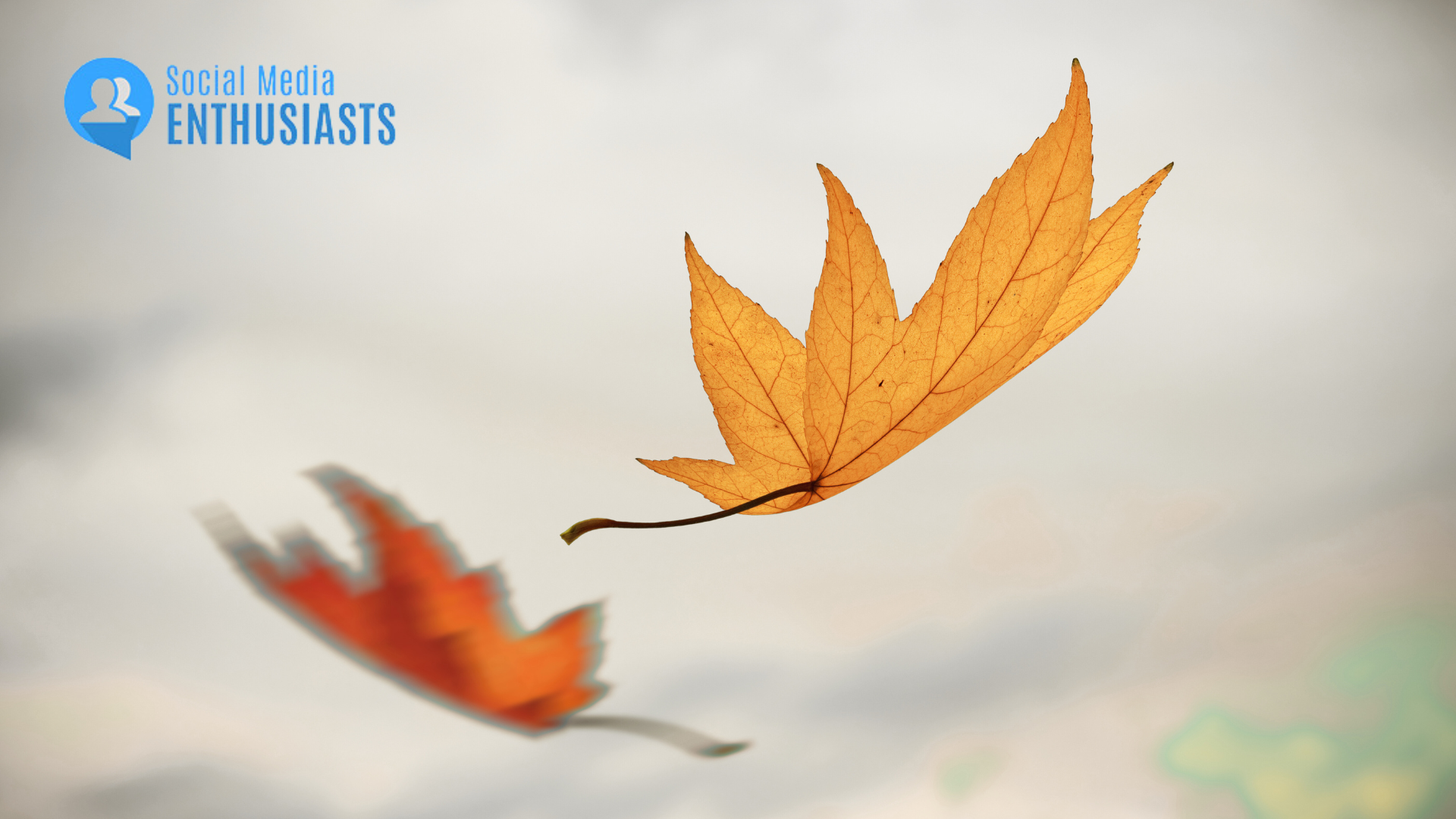 Top 5 Social Media Trends to Watch as Summer Ends and Fall Begins